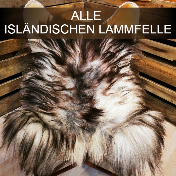 ALLE ISLÄNDISCHEN